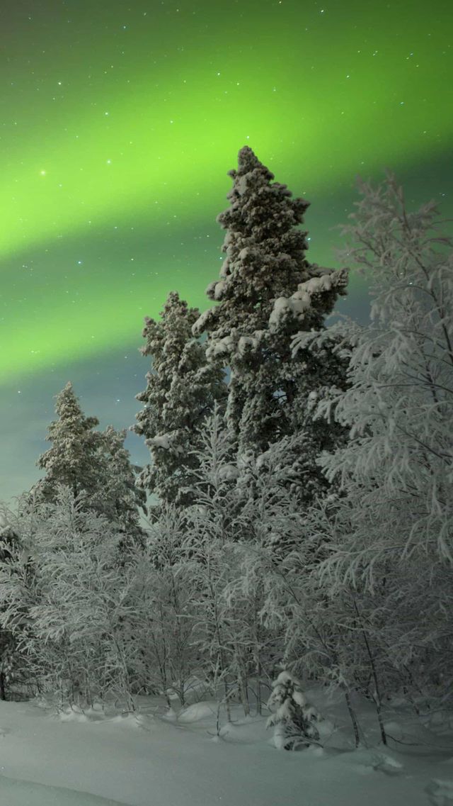 Beautiy from Alaska