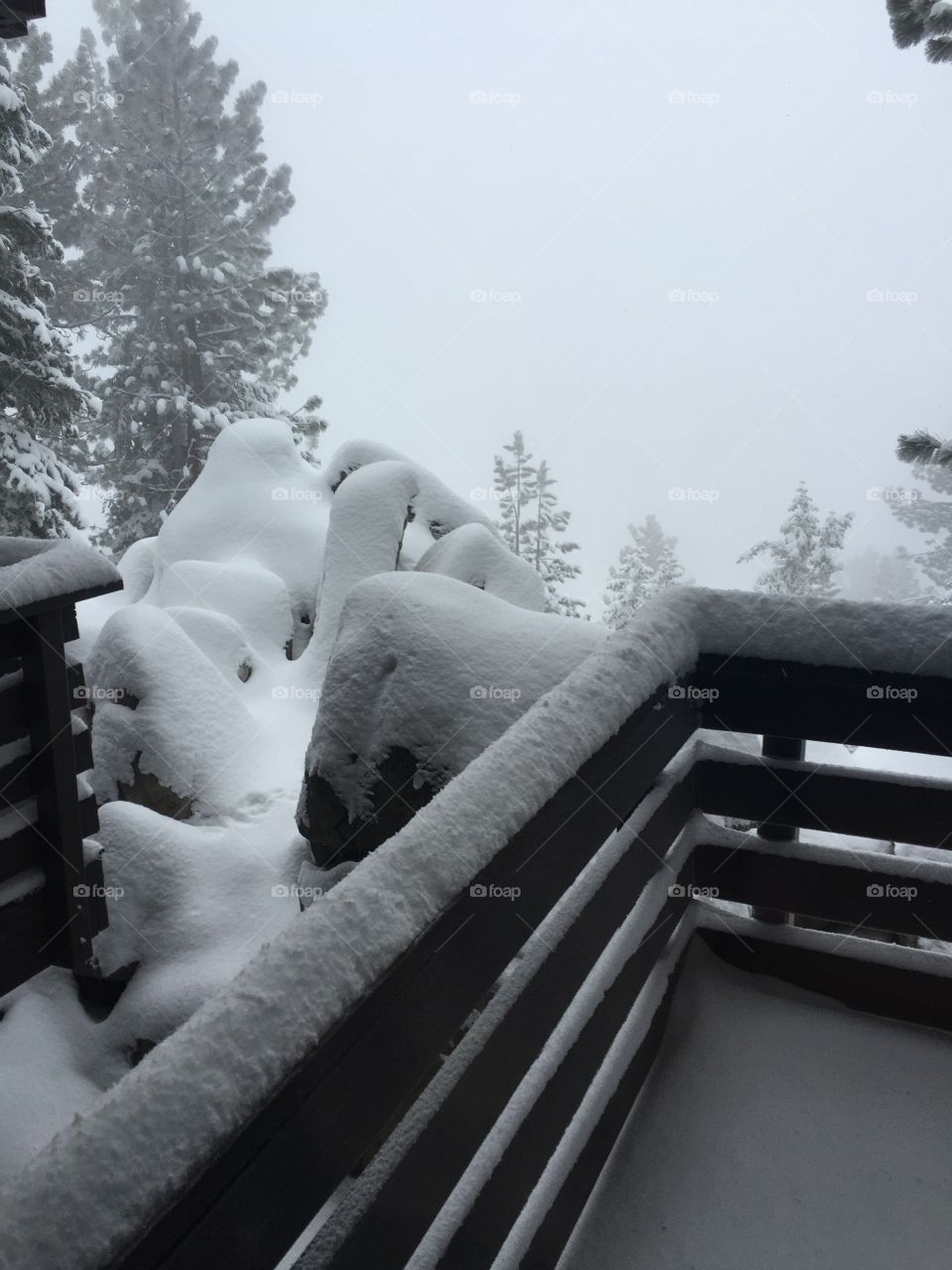 First Tahoe Snowfall 