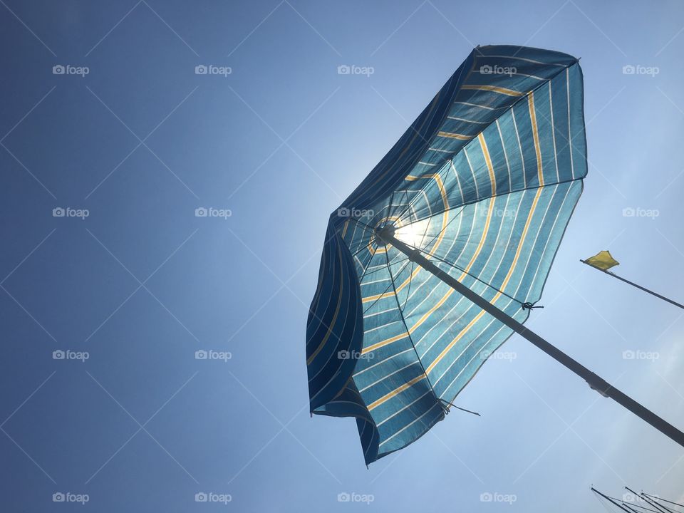 Umbrella 