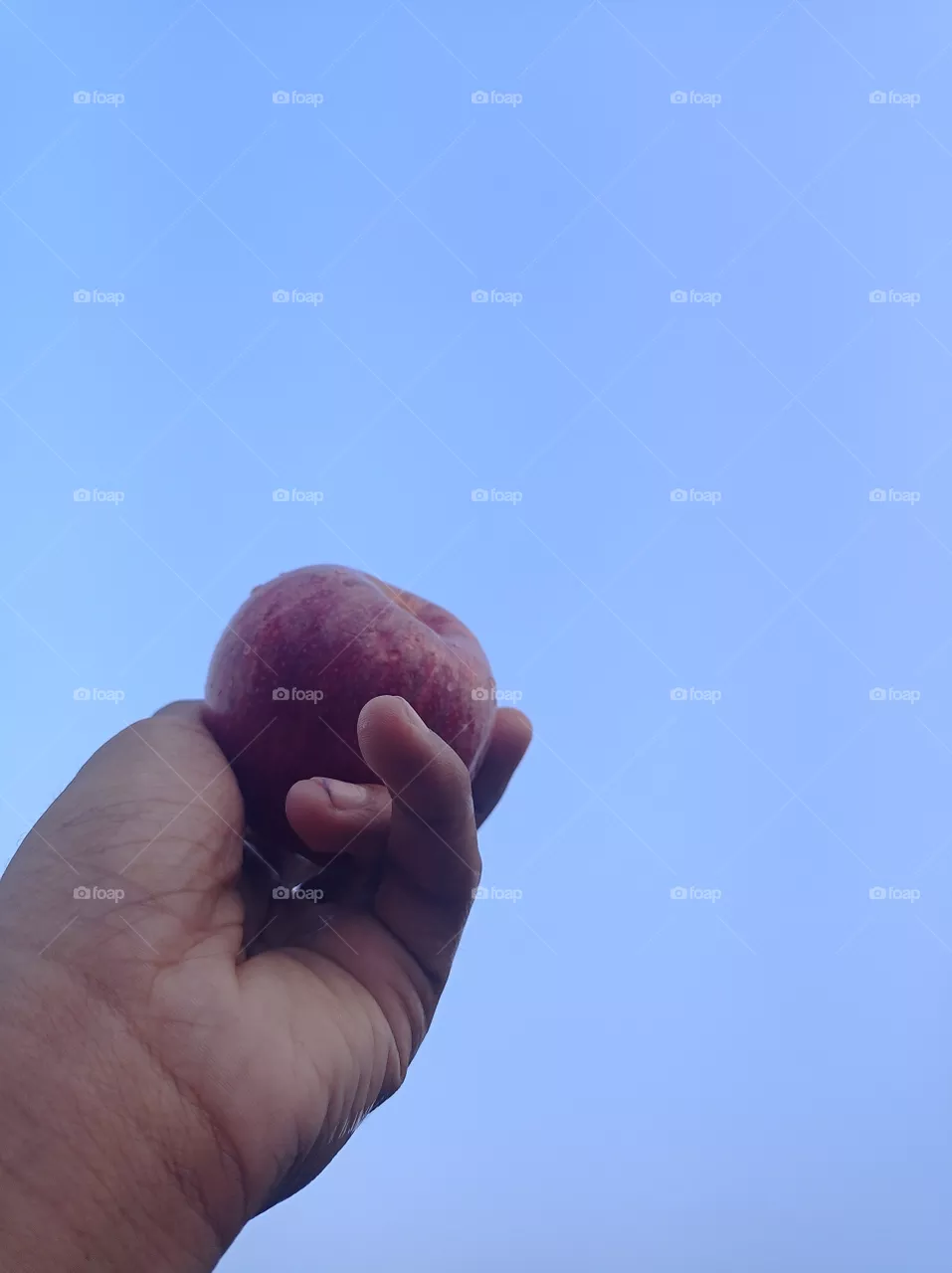 apple