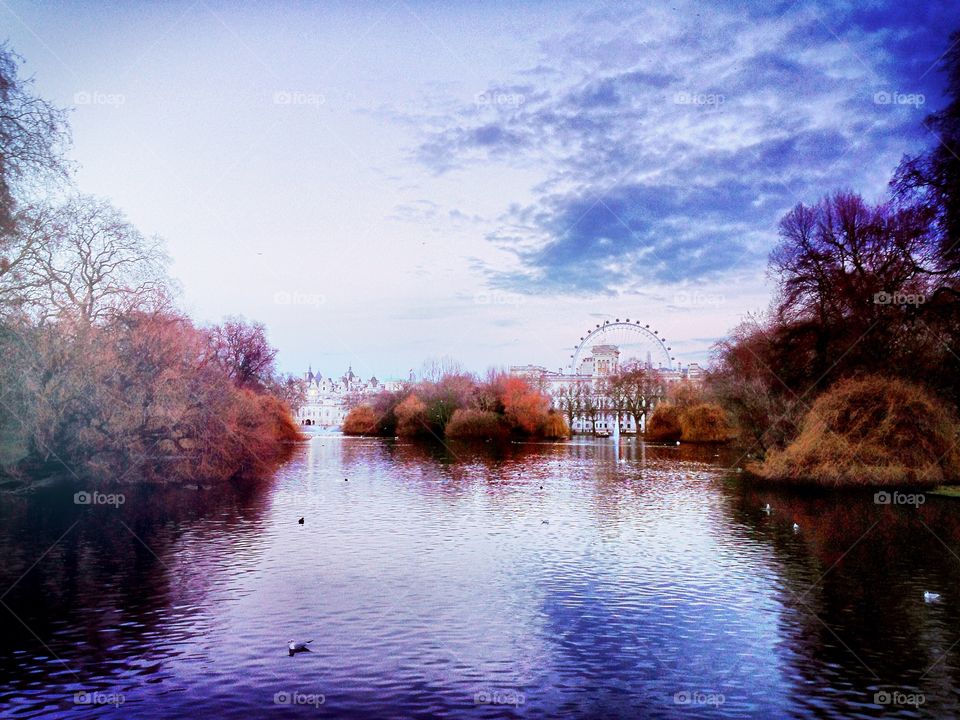 St James park. Lake in london