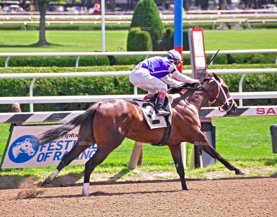 Enquette Wins at Saratoga. Young 2yr old filly wins at first asking for trainer Todd Pletcher & John Velasquez at Saratoga. 
Zazzle.com/Fleetphoto 