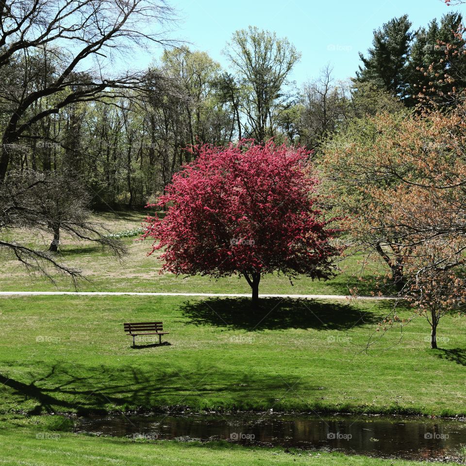 Springtime in Delaware