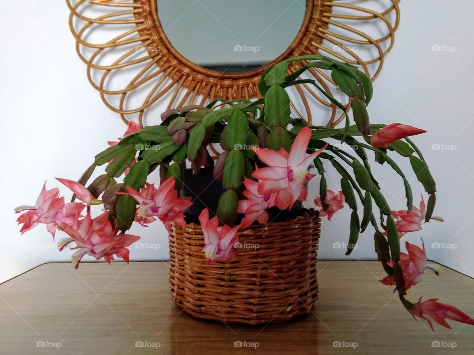 May flowers in a vase on a counter