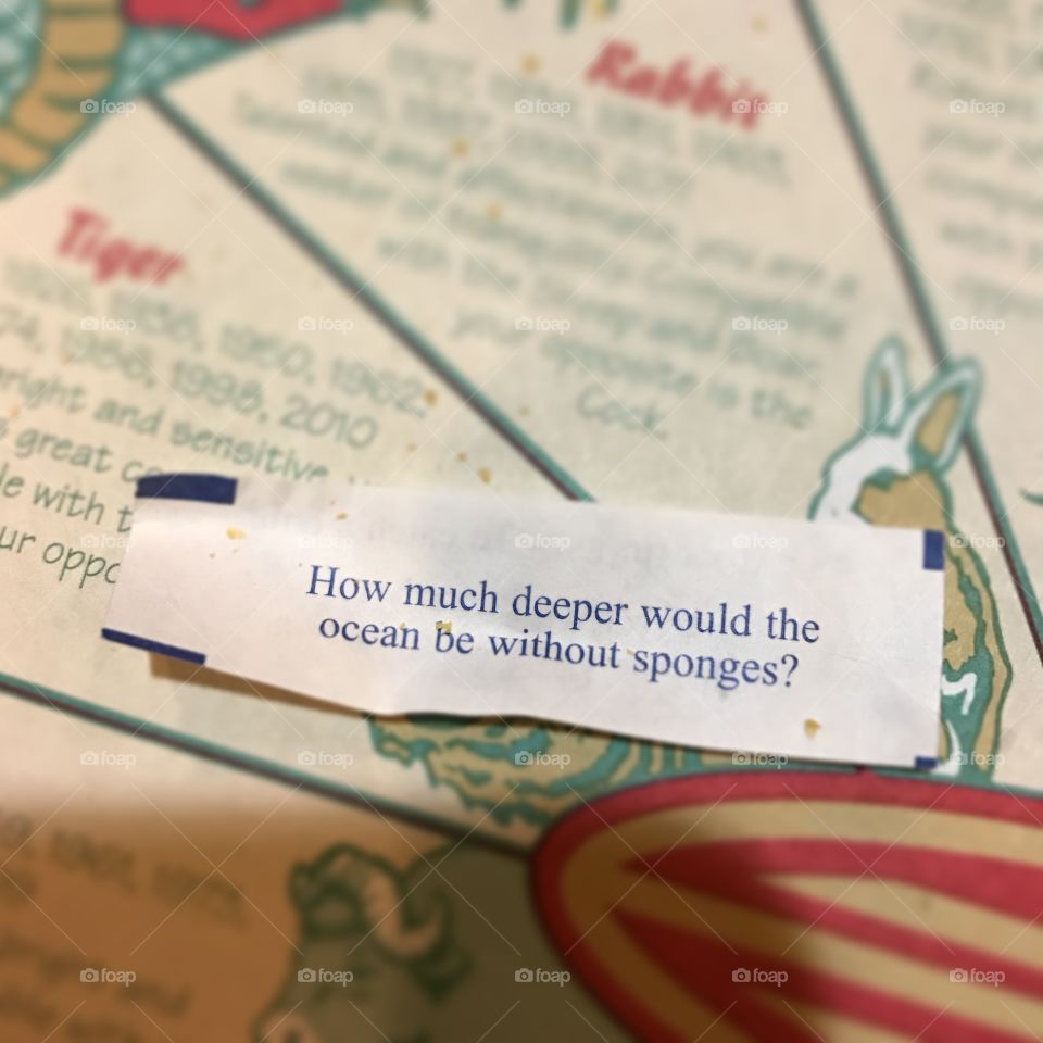 Deep fortune cookie wisdom