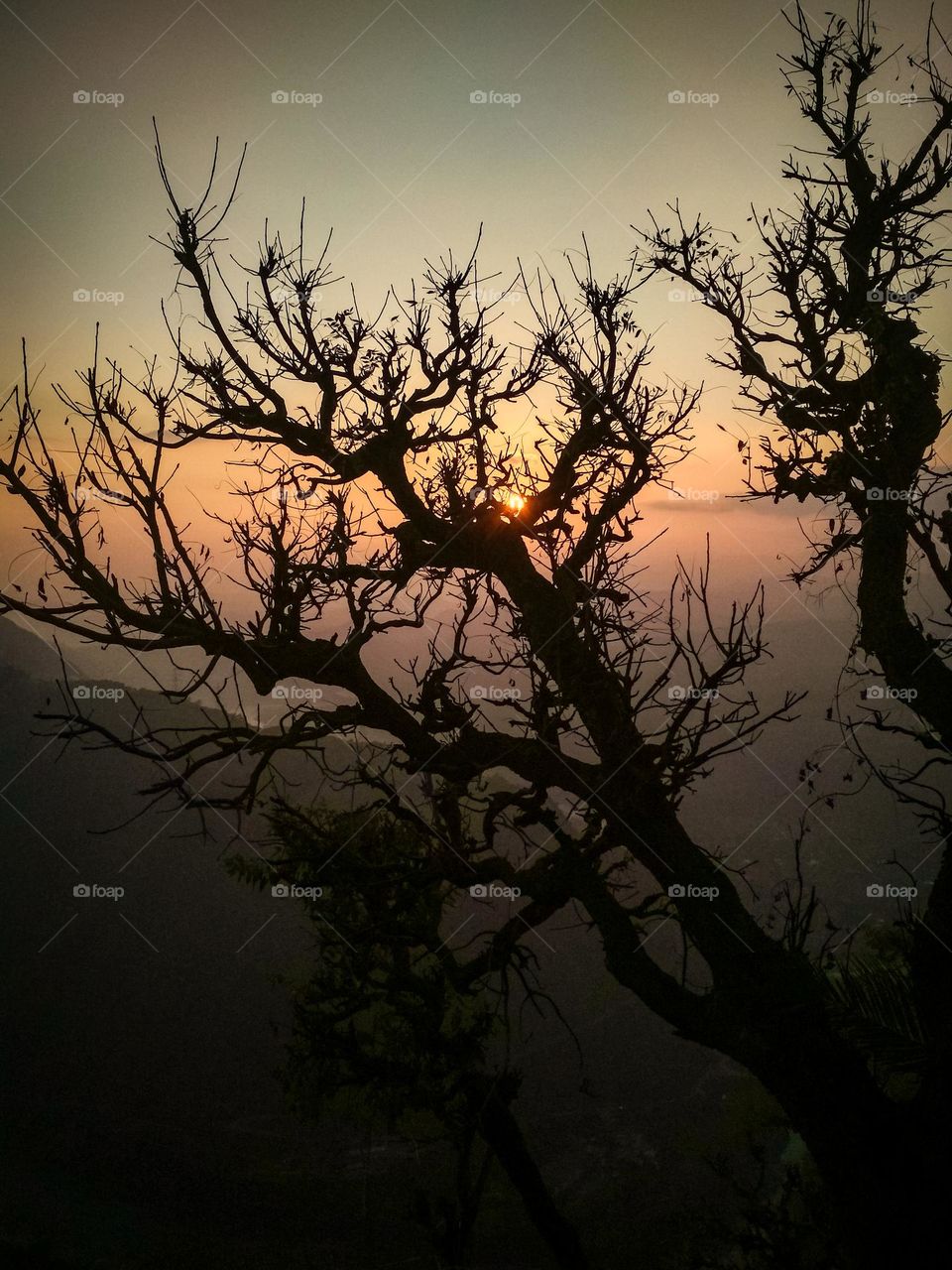 Beautiful sunset picture by Sachin Khwaab.