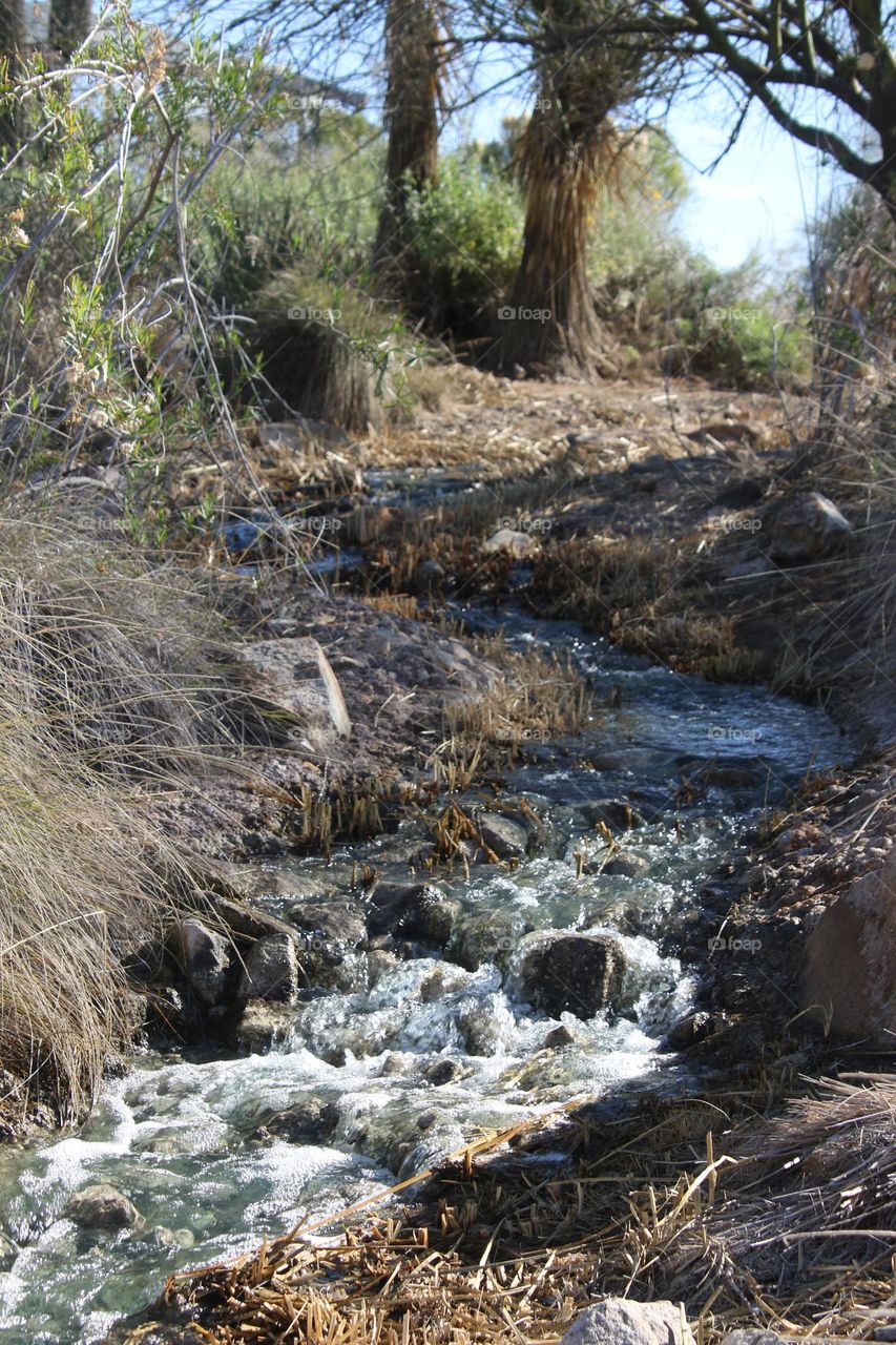 Stream in Arizona Desert