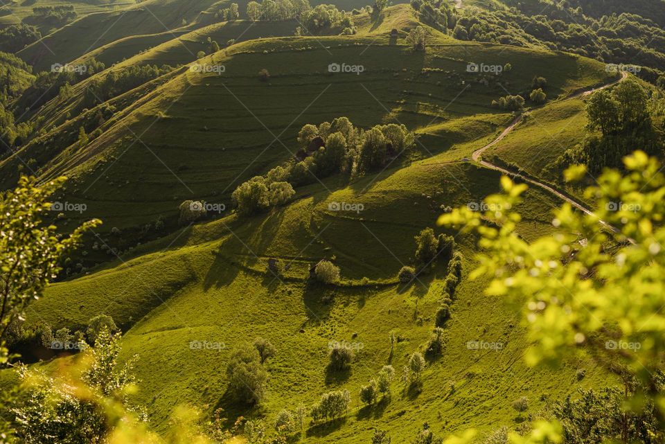 green