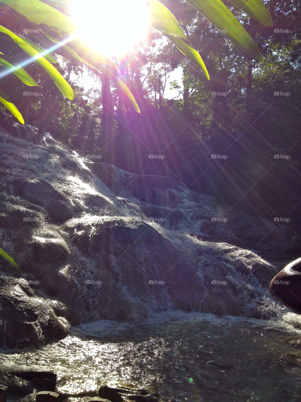 sun trees leaves rocks by angeljack