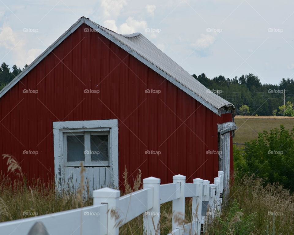 Red Barn! The Red Story! Red is color of passion. It's the color that is always seen on heart decorations on Valentine's Day! Red is astonishing, exhilarating, and fills your world through feelings and emotions!