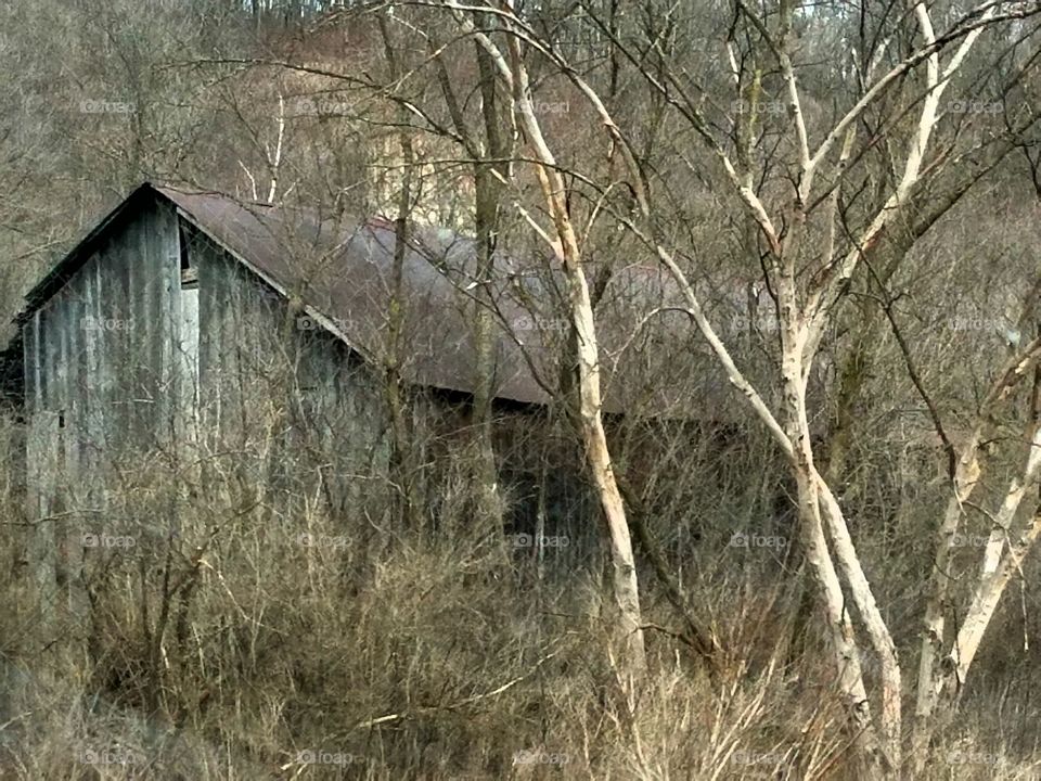 Driving the back Roads and enjoying everything around us