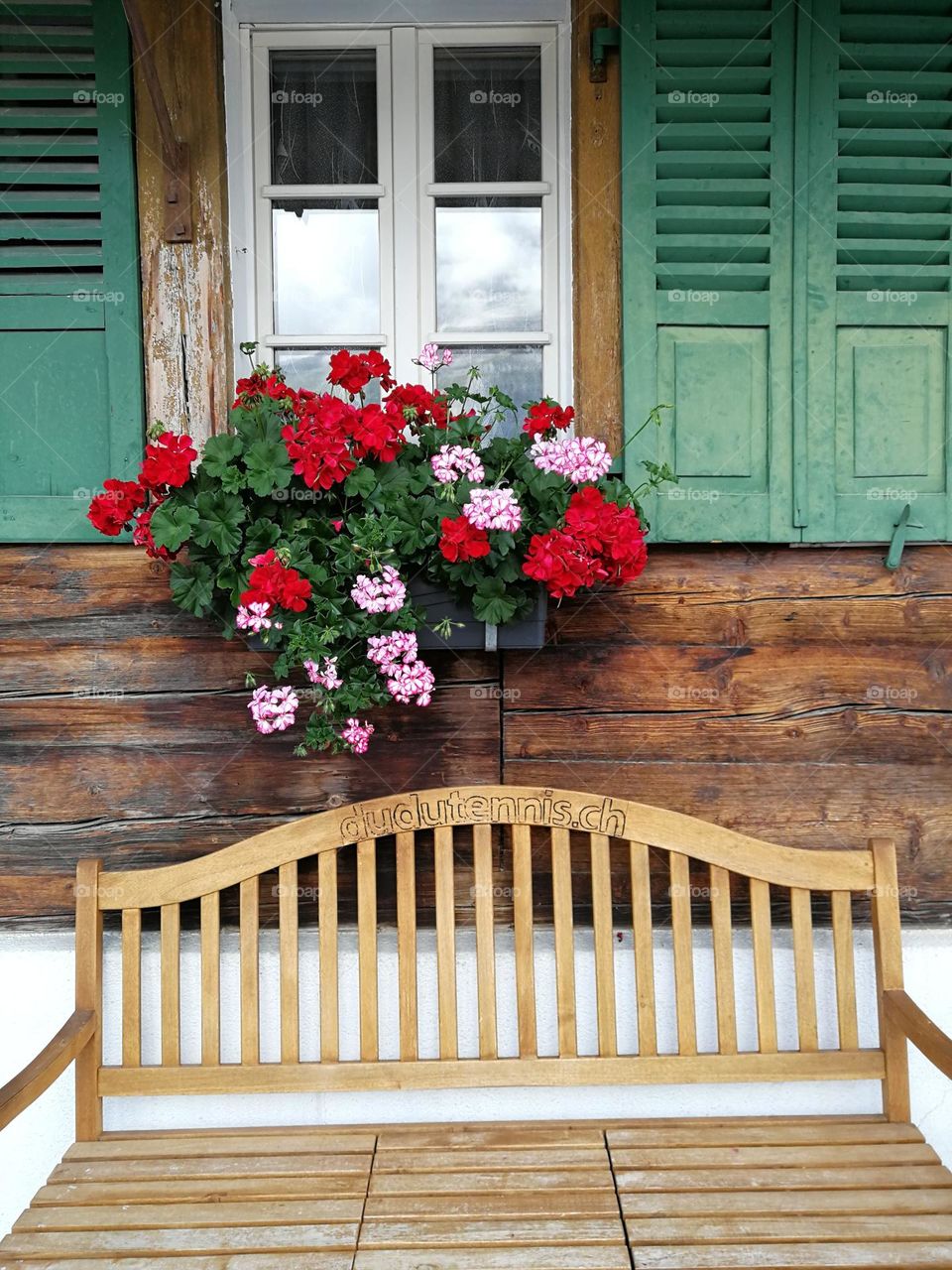 flowers on the window