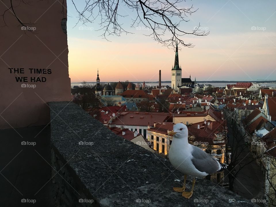 Tallinn 