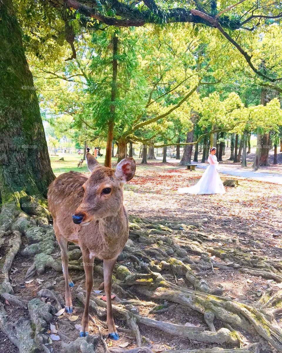 Do u believe in fairytale? 👌💞