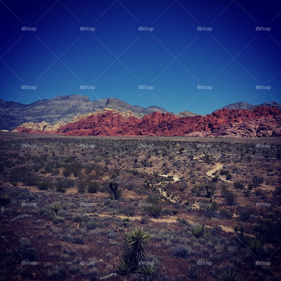 red rock canyon