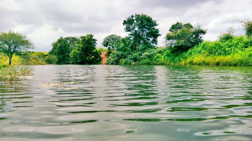 Check Dam water storage with surrounding Nature.