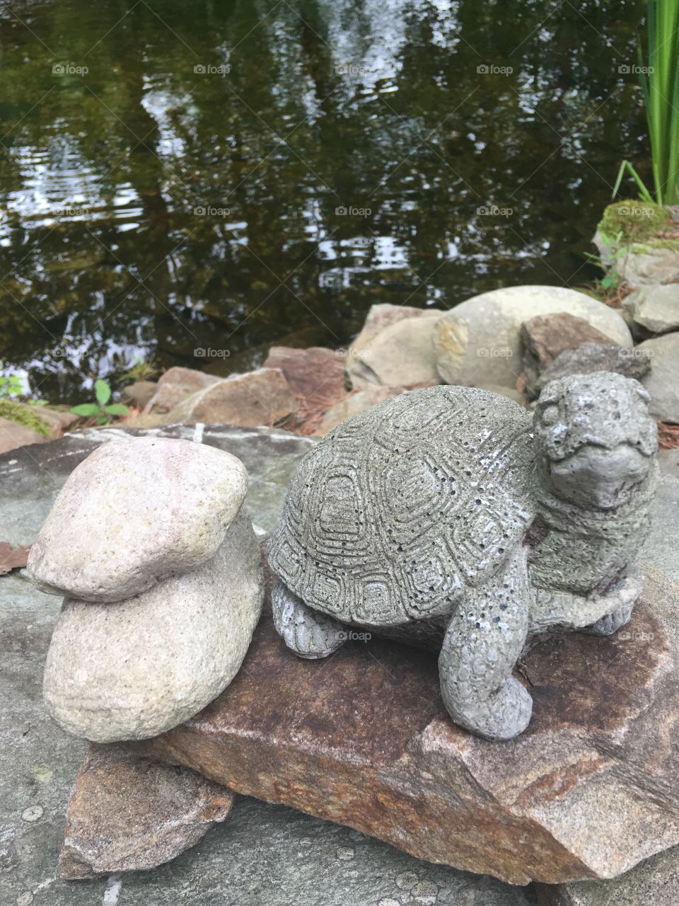 Turtle statue 