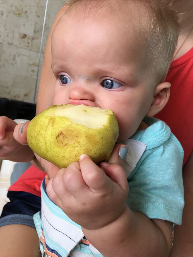 Baby boy eating a fruit 