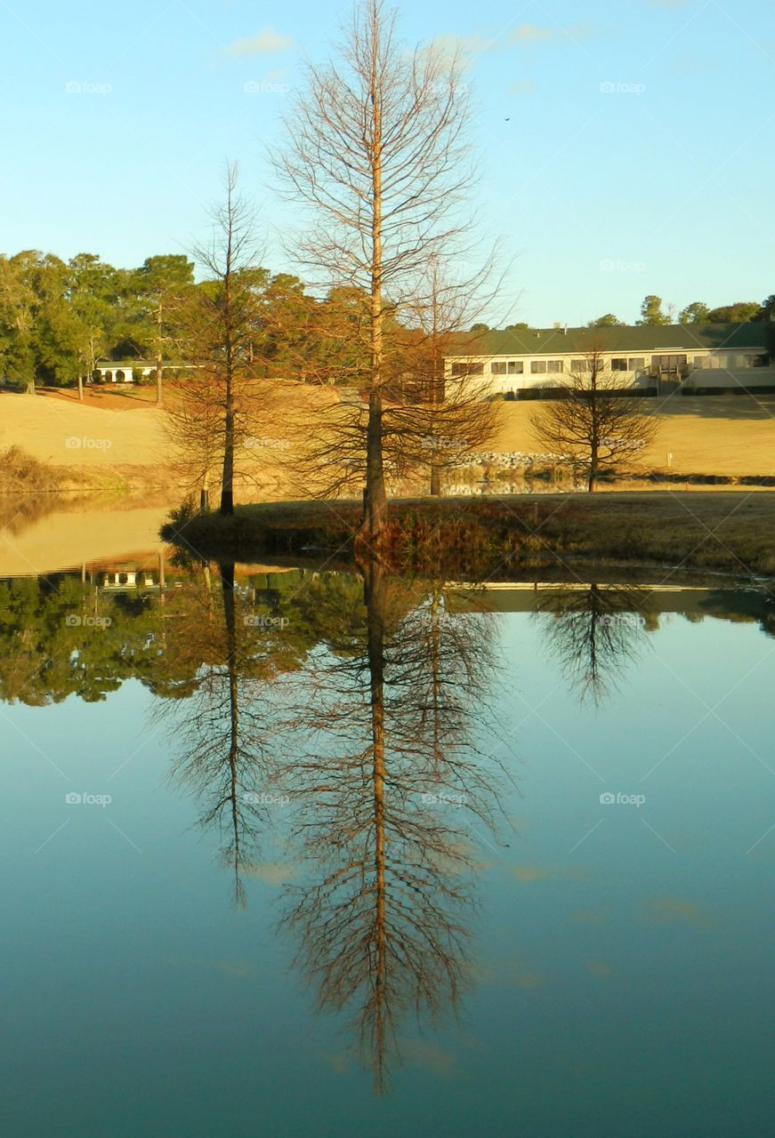 Incredible Autumn and Rainy day Reflections depict how beautiful and colorful the landscape really is in the fall. 