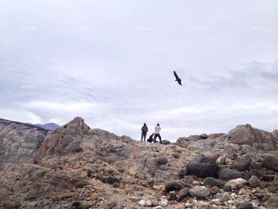 Condor attack