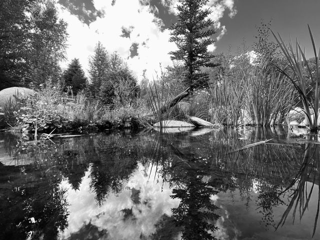 Landscape water reflection in Aspen CO