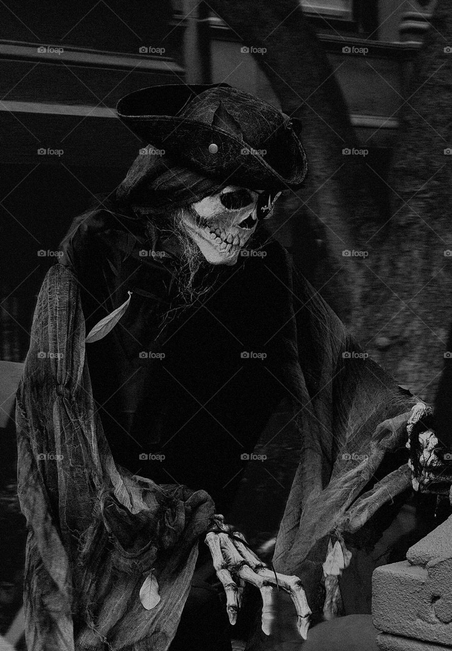 Pirate of the Caribbean Sea