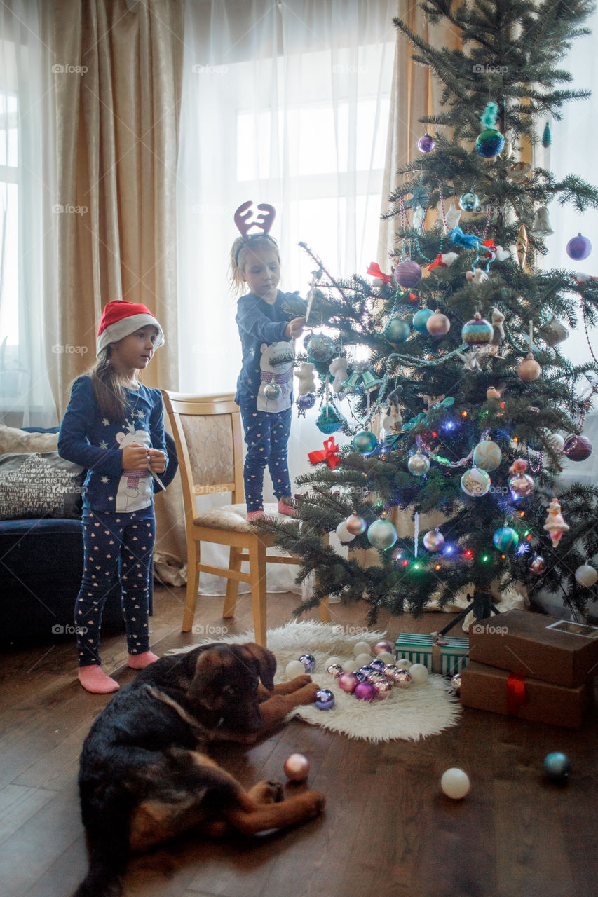 Little sisters with German shepherd puppy near Christmas tree 