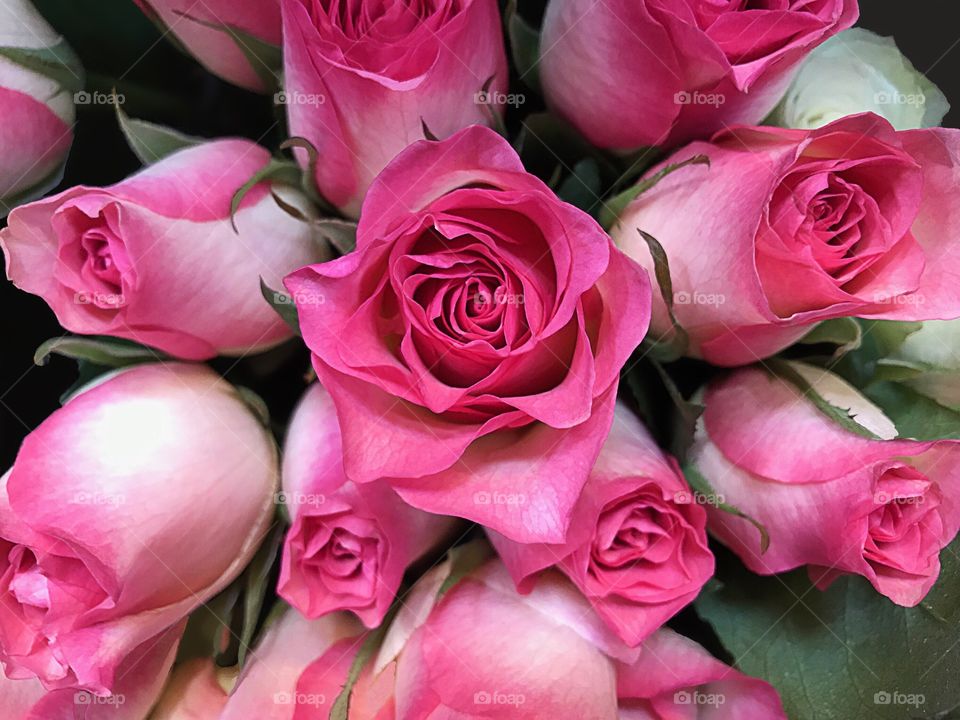 Pink rose bouquet 