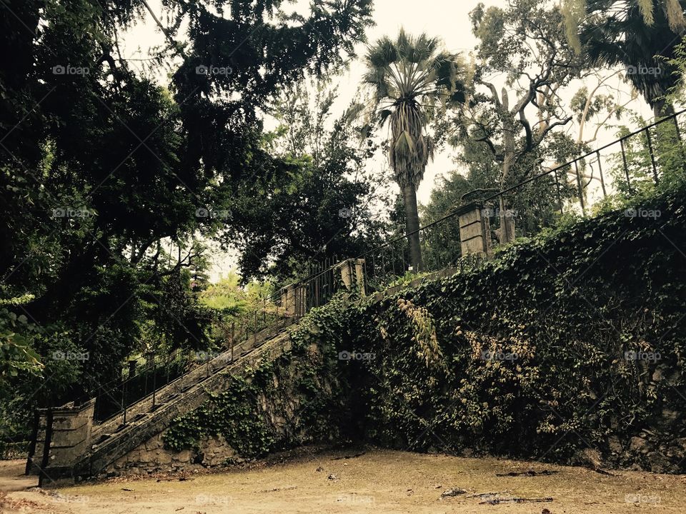 Jardim botânico de Coimbra - Portugal 
