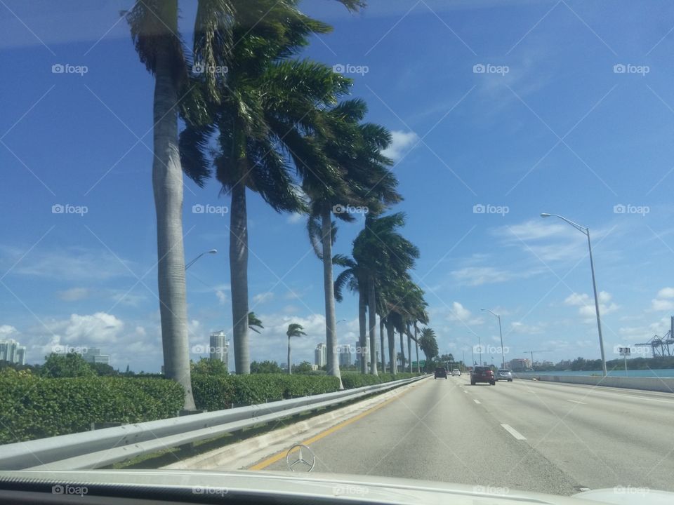 Miami highway