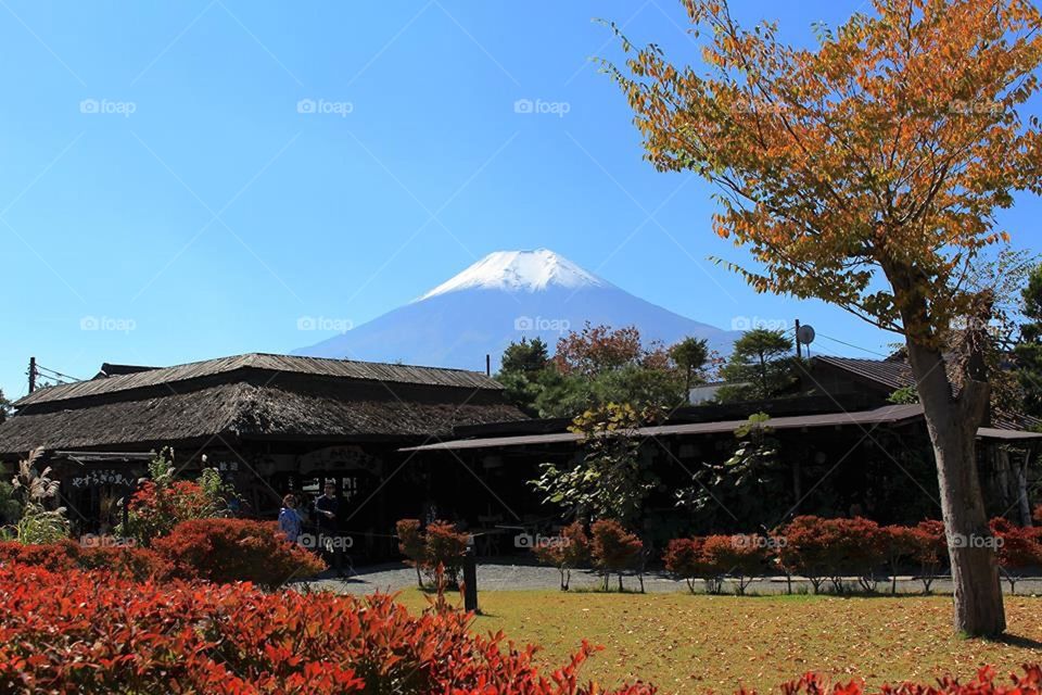 Mt Fuji how you are beautiful