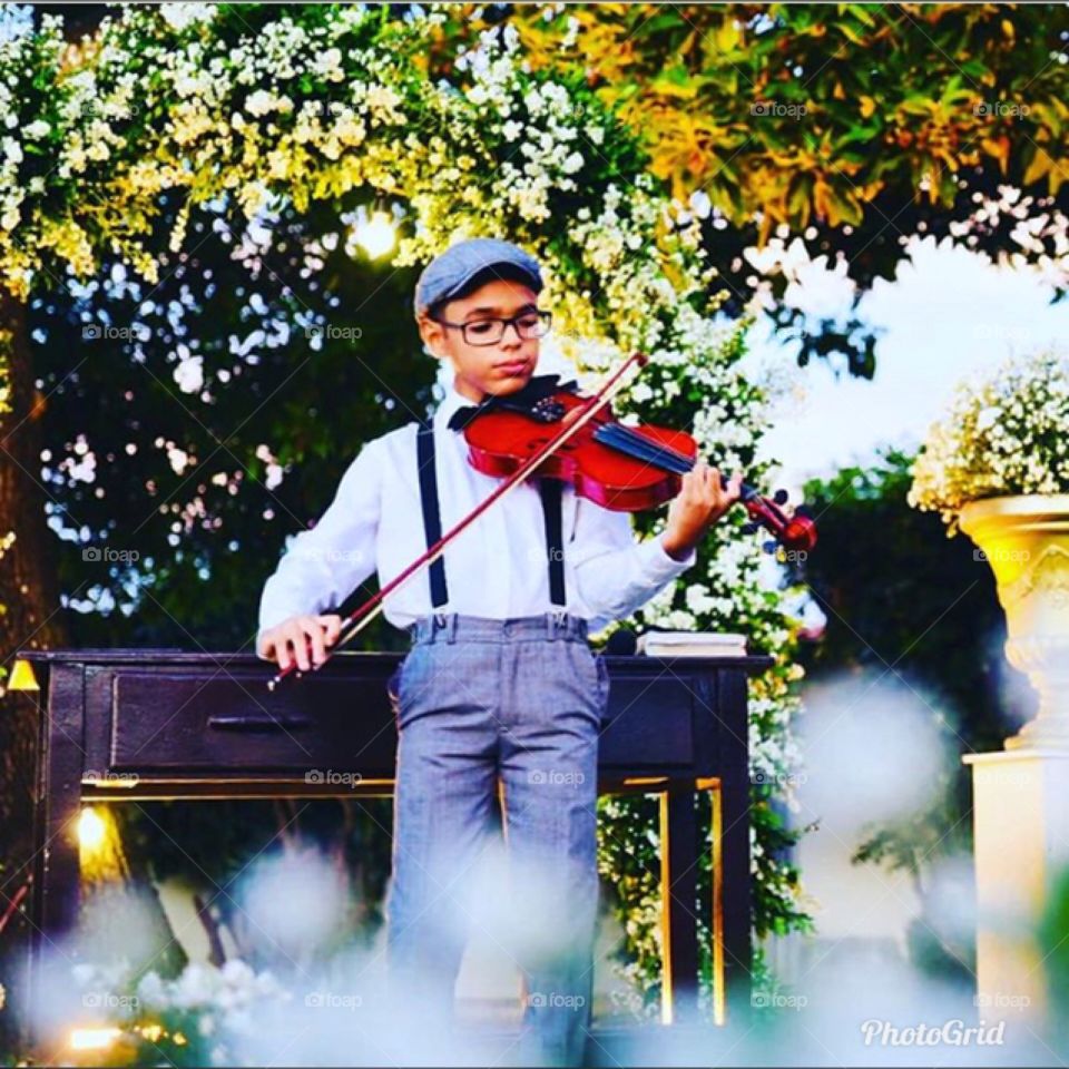 Violino no parque 