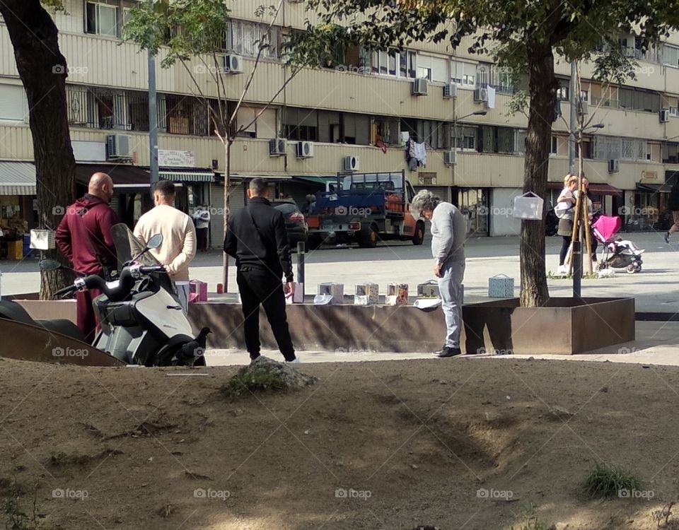 selección de pájaros cantores