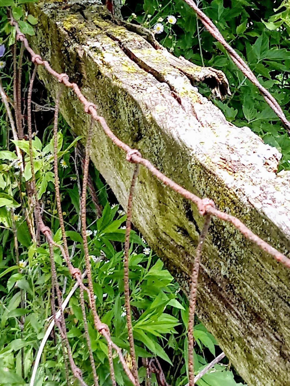 Rusty Fence and Wood
