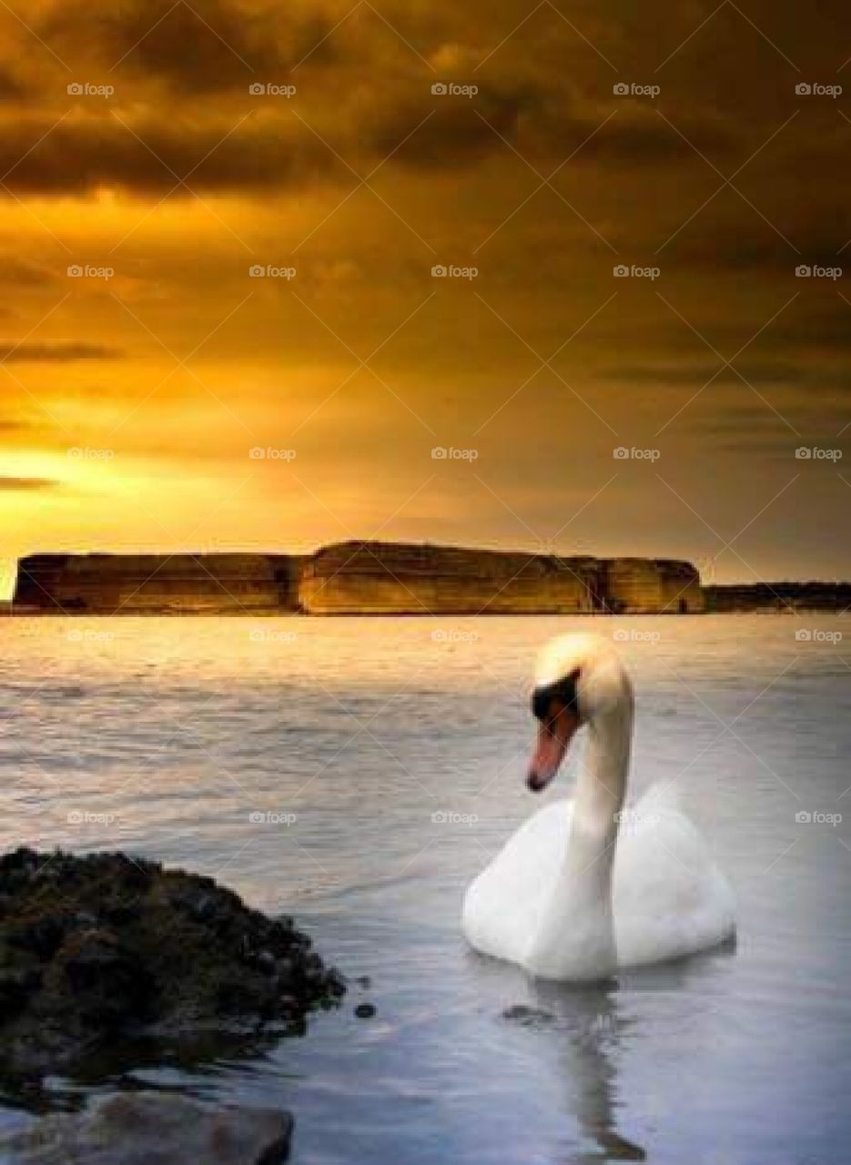 Šibenik city  from Croatia