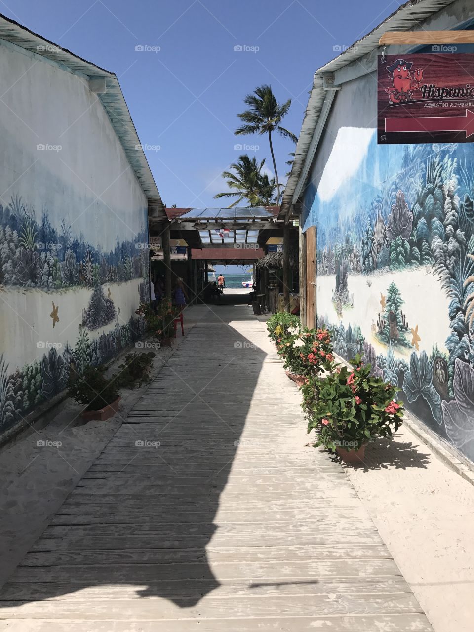 Punts Cana, Dominican Republic