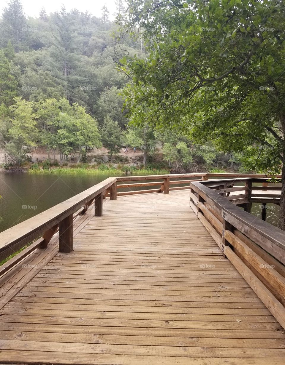 Wooden wraparound viewing deck, overlooking a pond.