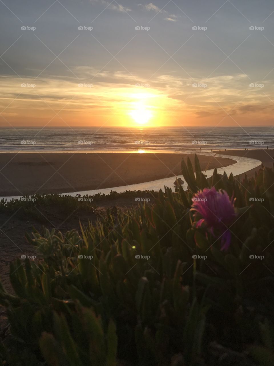 The sun sets on a winding stream that flows in and out of the Pacific. The sun warms the evening air as it’s soon to be tucked behind the horizon line. 
