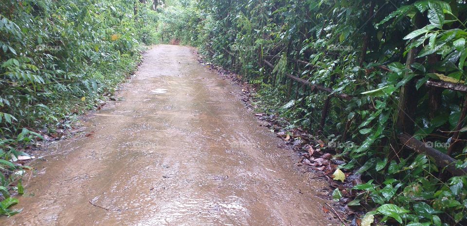 beautiful one way path