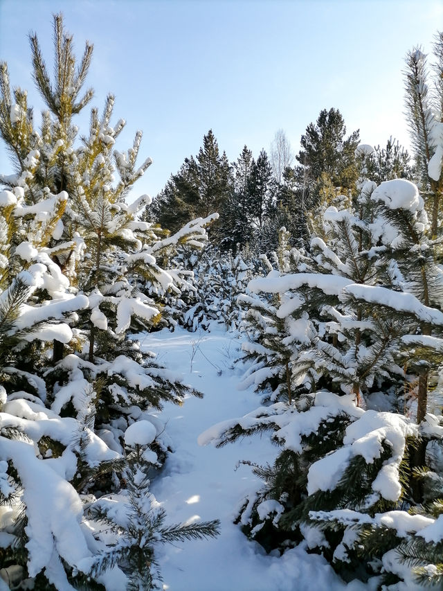 Nature