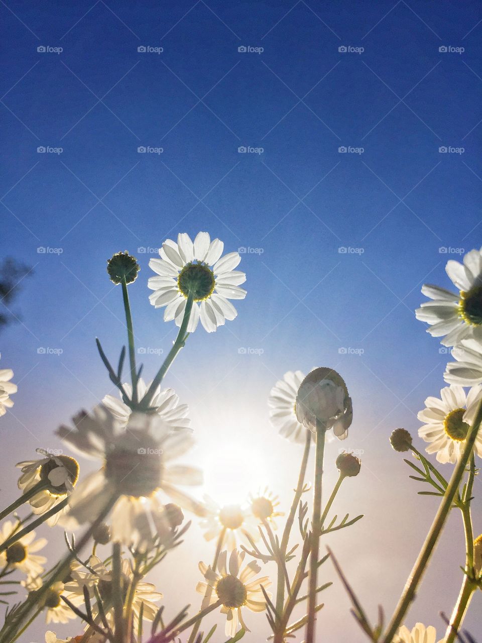 Sometimes all you need is change your perspective! ☺️