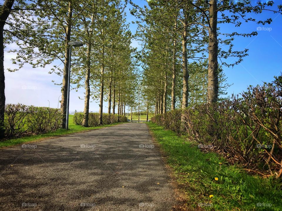 Where the trail leads the mind follows.  Nature is a balm to the mind in this hurried world.