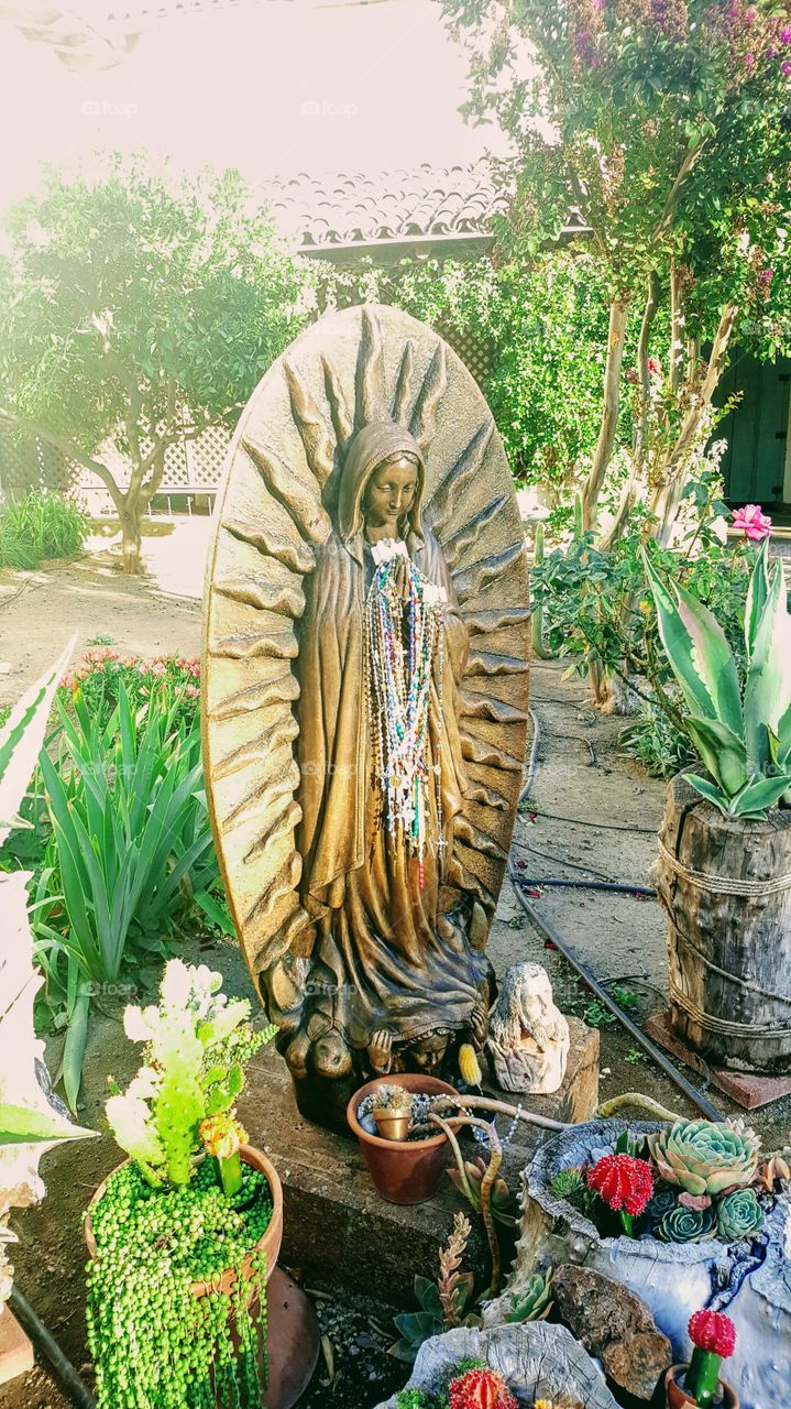 Guadalupe, Mary, Mother, Virgin Mary, Rosary, Religion, Garden, Day, San Juan Bautista, California Mission, Sunlight