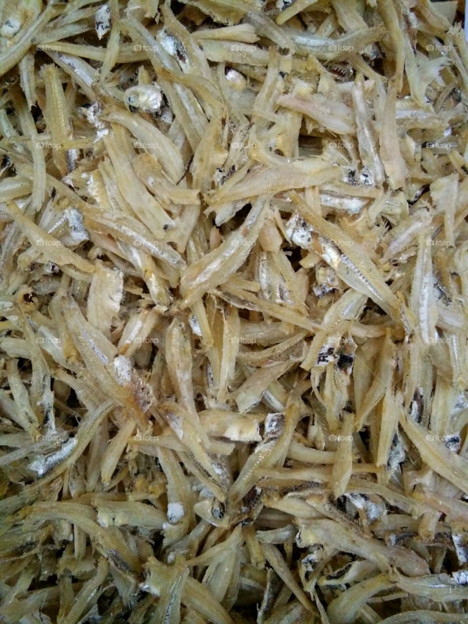 malaysia dried anchovies