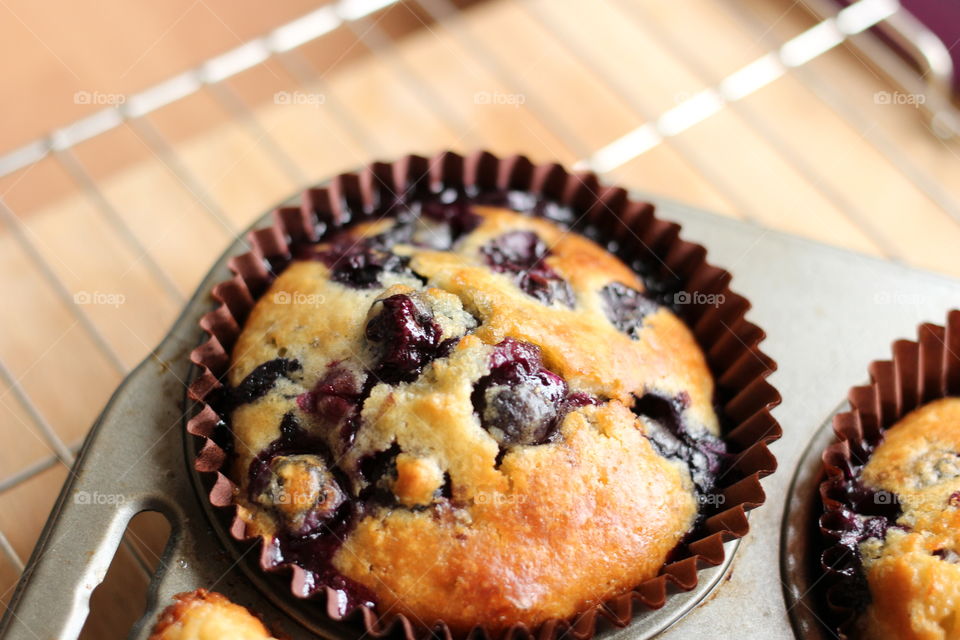 Blueberry muffin. Close up of blueberry muffin on a cooling rack 