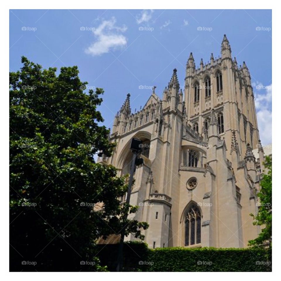Cathedral 