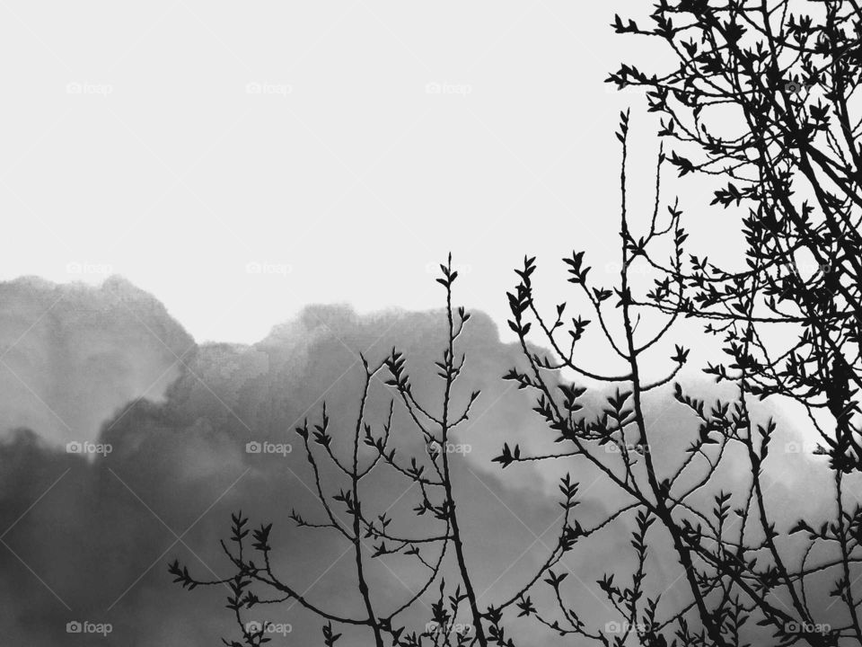 Sky is where the heart is