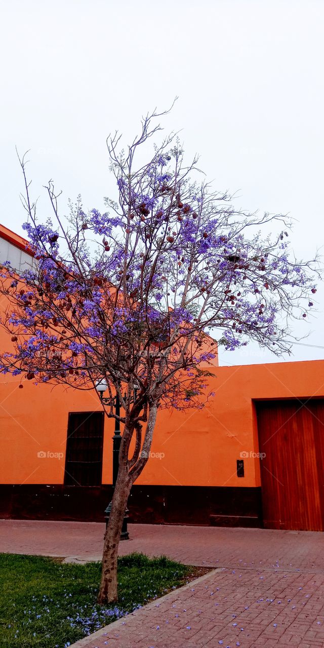 Singular and beautiful