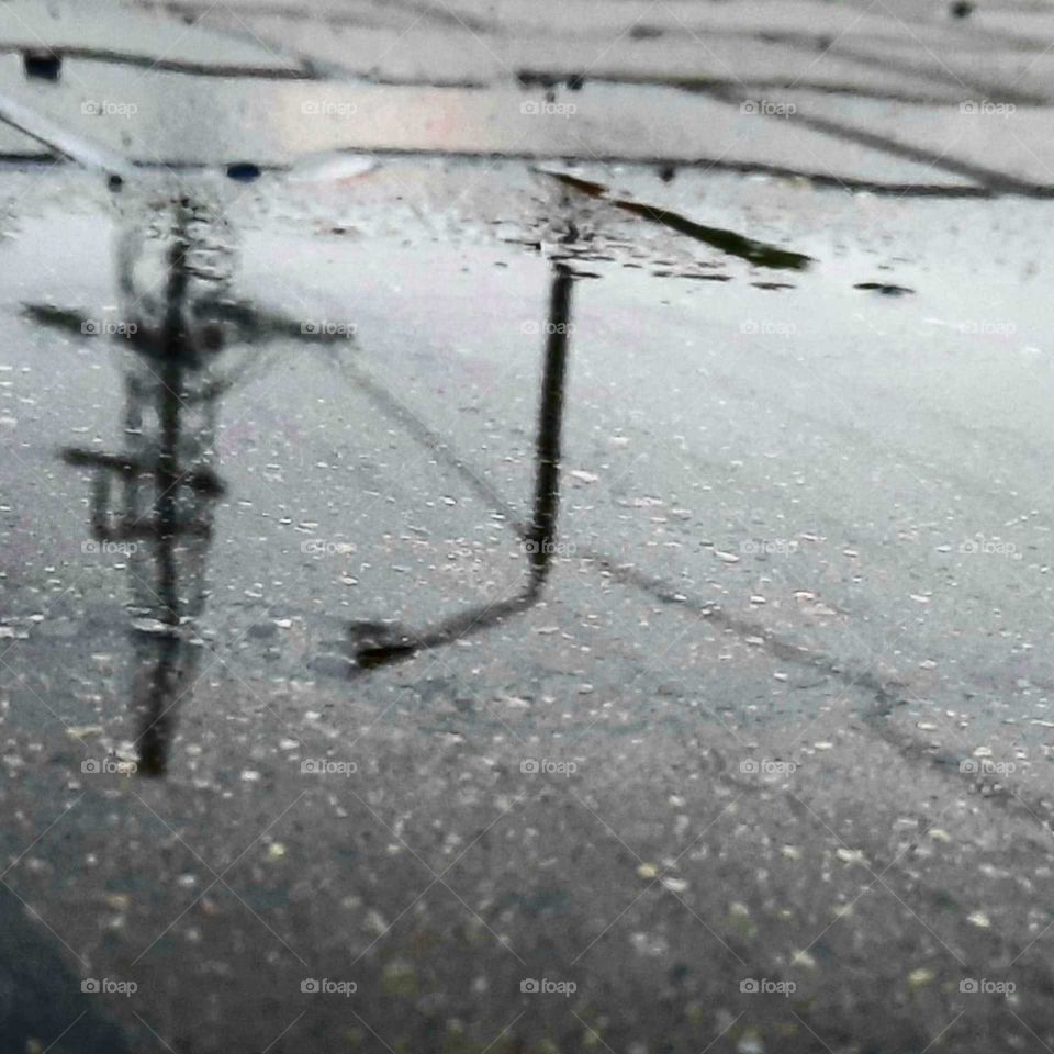 simple morning reflection