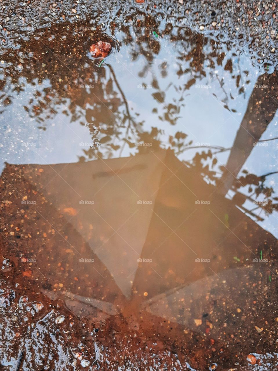 Wet and muddy with the heavy rain around. Reflection from a mud pond created by the heavy rain around. Eastern monsoon time in the northern part of Sri Lanka. Rainy days.